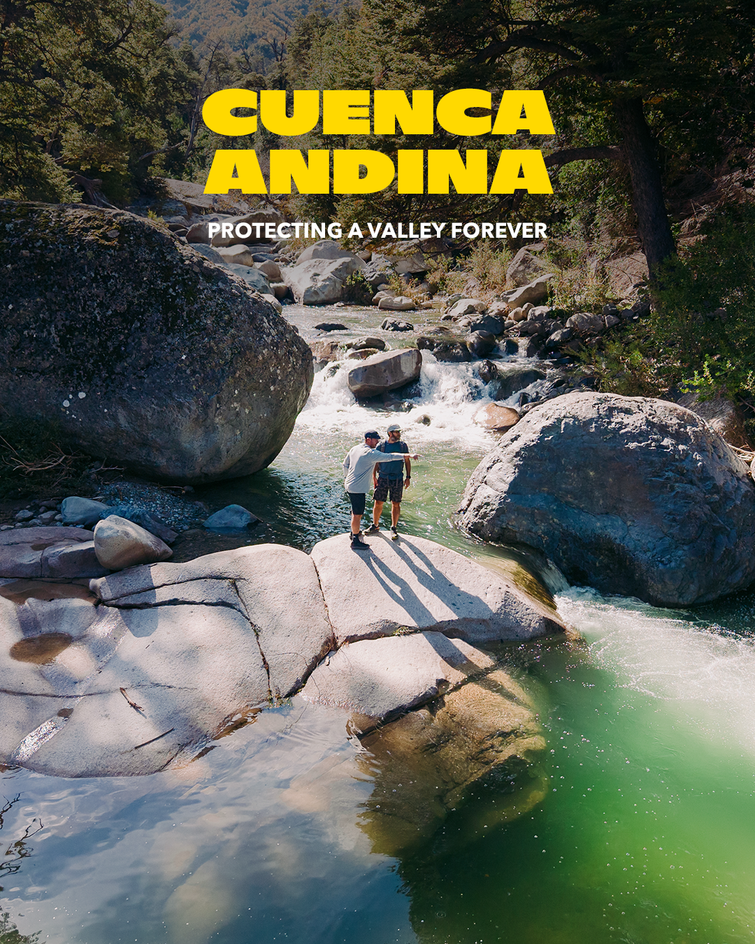 Portada del Handbook Cuenca Andina